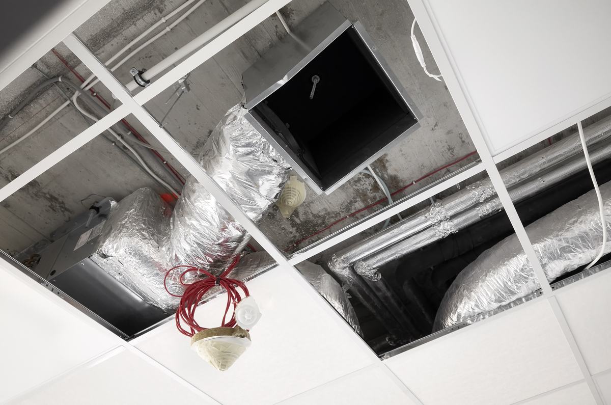 Ductwork and ventilation lines above an open drop ceiling